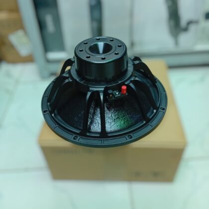 Professional Neodymium 12inch Naked Speaker Driver